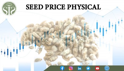 ALL INDIA COTTON SEED RATE