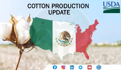 MEXICO Cotton and Products Update_Mexico City_Mexico_MX2023-0043