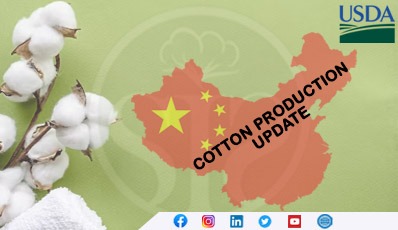 CHINA Cotton and Products Update_Beijing_China - People's Republic of_CH2023-0115 (1)