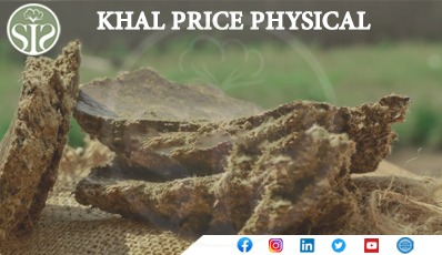 *ALL INDIA COTTON KHAL MARKET UPDATE*