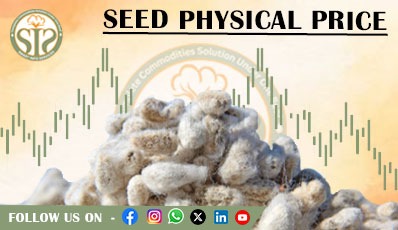 ALL INDIA COTTON KHAL MARKET UPDATE