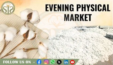 EVENING COTTON PHYSICAL MARKET UPDATE