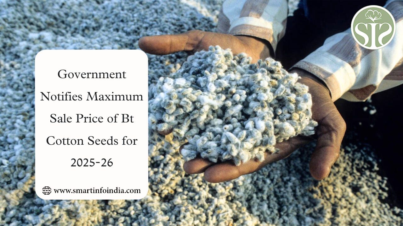 Govt Sets Bt Cotton Seed Price for 2025-26