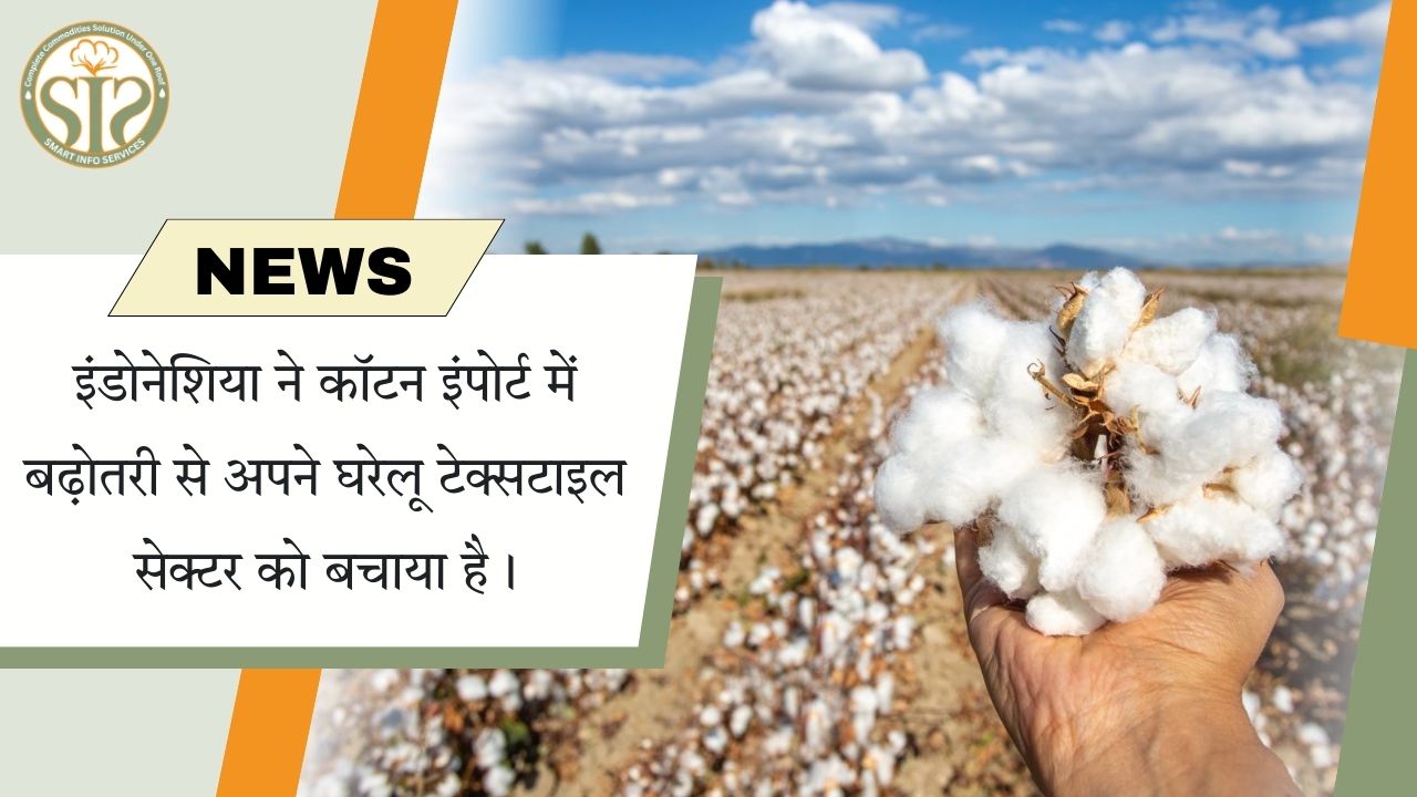 इंडोनेशिया का कदम: कॉटन इंपोर्ट से टेक्सटाइल उद्योग को राहत