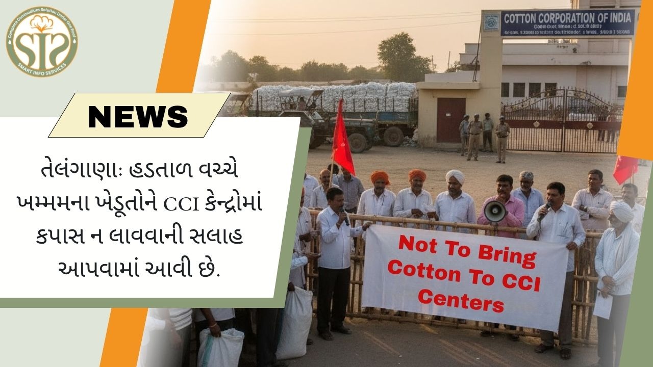 "હડતાળ વચ્ચે, ખમ્મમના ખેડૂતોને CCI કેન્દ્રોમાં કપાસ ન લાવવાની સલાહ આપવામાં આવી"