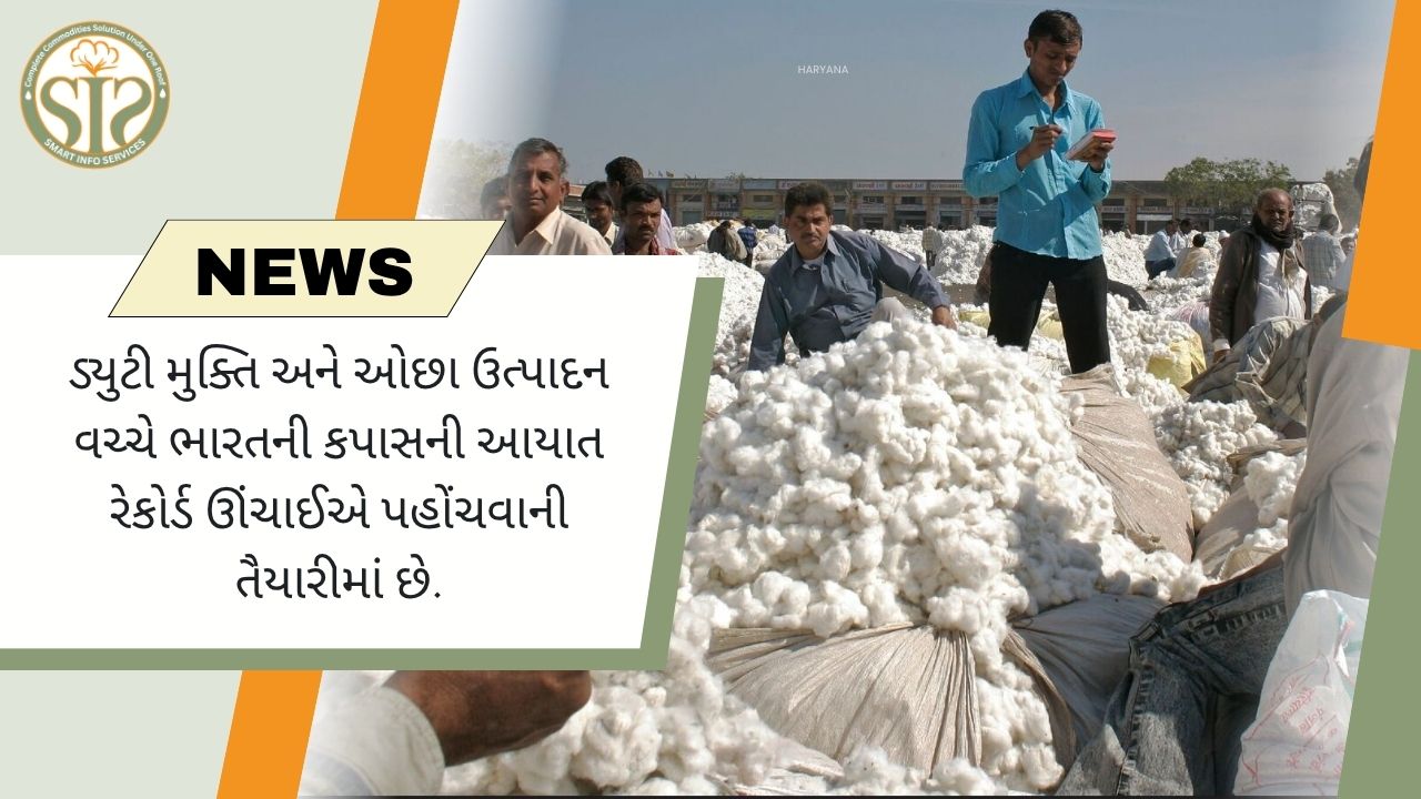 ડ્યુટી મુક્તિ વચ્ચે ભારતની કપાસની આયાત રેકોર્ડ સ્તરે પહોંચી