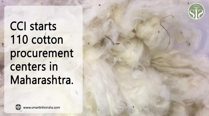 CCI starts 110 cotton procurement centers in Maharashtra.