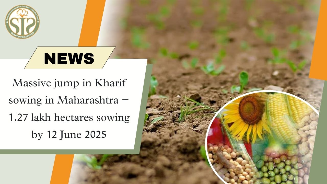 Massive jump in Kharif sowing in Maharashtra – 1.27 lakh hectares sowing by 12 June 2025