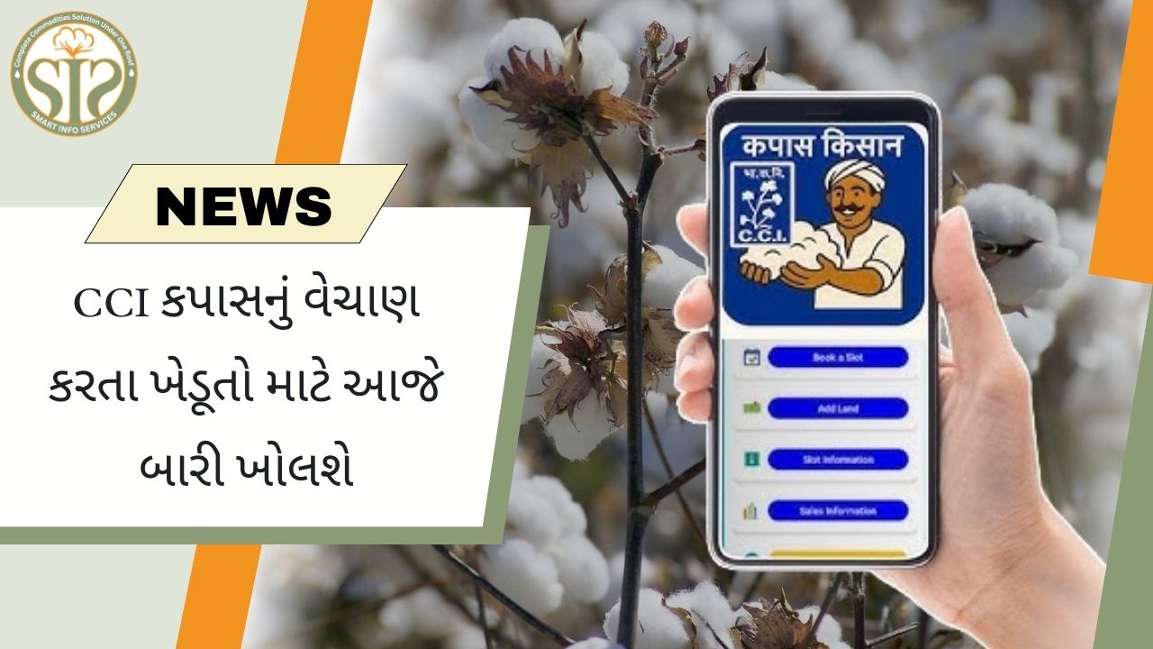 કપાસના ખેડૂતો માટે સીસીઆઈની ખરીદી આજથી શરૂ થઈ રહી છે