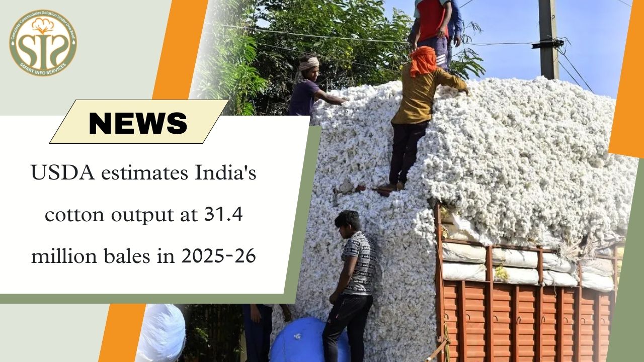 USDA: India's cotton production estimated at 31.4 million bales in 2025-26