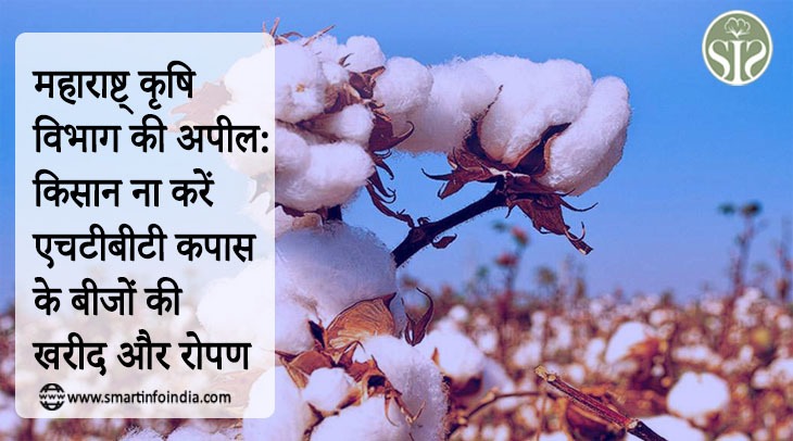Appeal of Maharashtra Agriculture Department: Farmers should not buy and plant HTBT cotton seeds