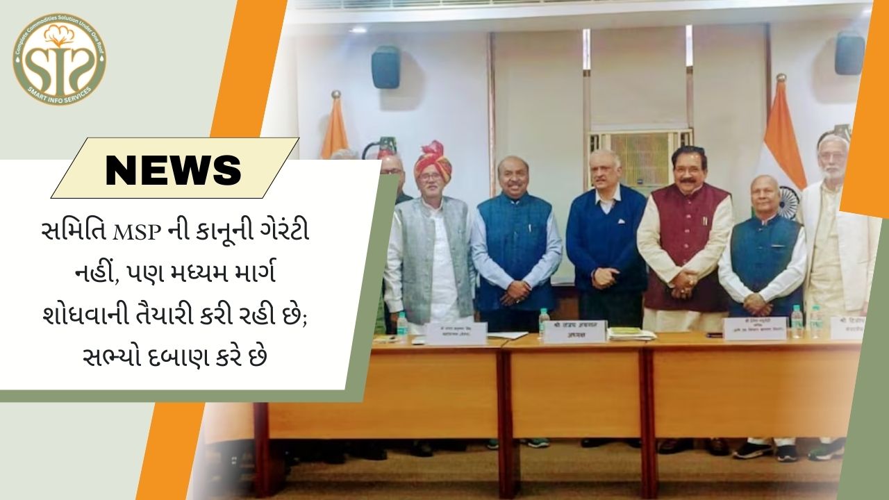 MSP પર કોઈ કાનૂની ગેરંટી નથી, સમિતિ મધ્યમ માર્ગ શોધશે.