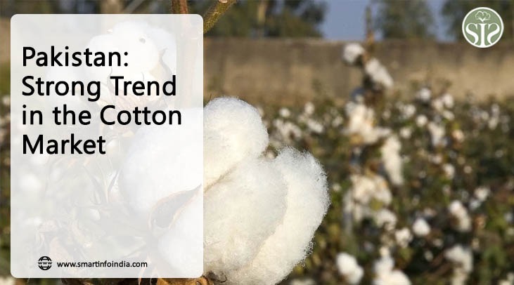 *Pakistan: Strong trend in cotton market*