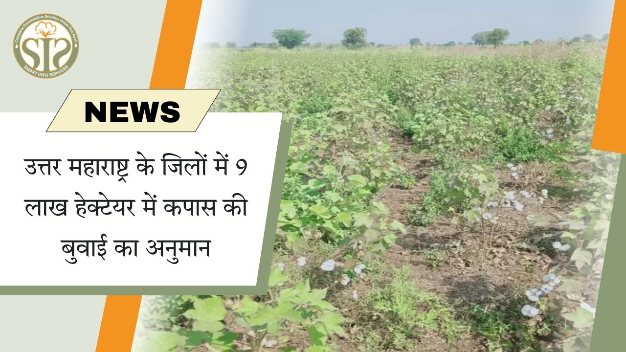 उत्तर महाराष्ट्र के जिलों में 9 लाख हेक्टेयर में कपास की बुवाई का अनुमान