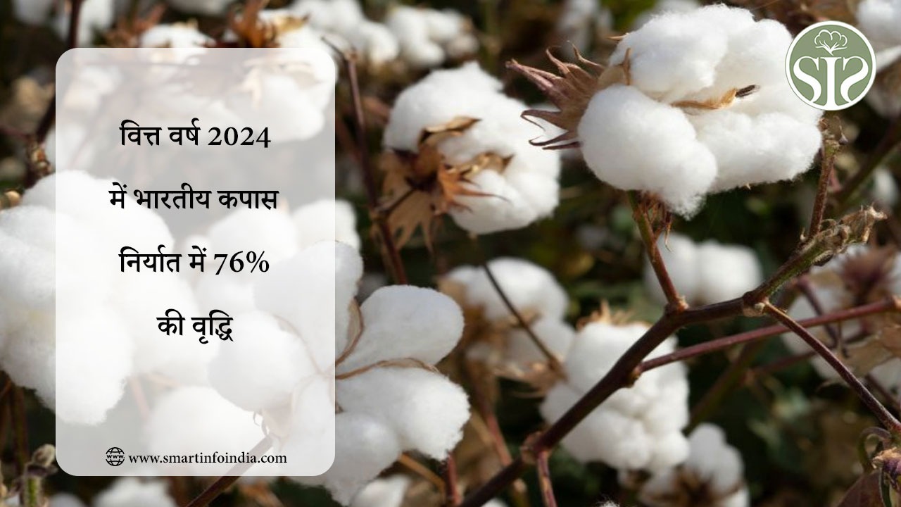 वित्त वर्ष 2024 में भारतीय कपास निर्यात में 76% की वृद्धि