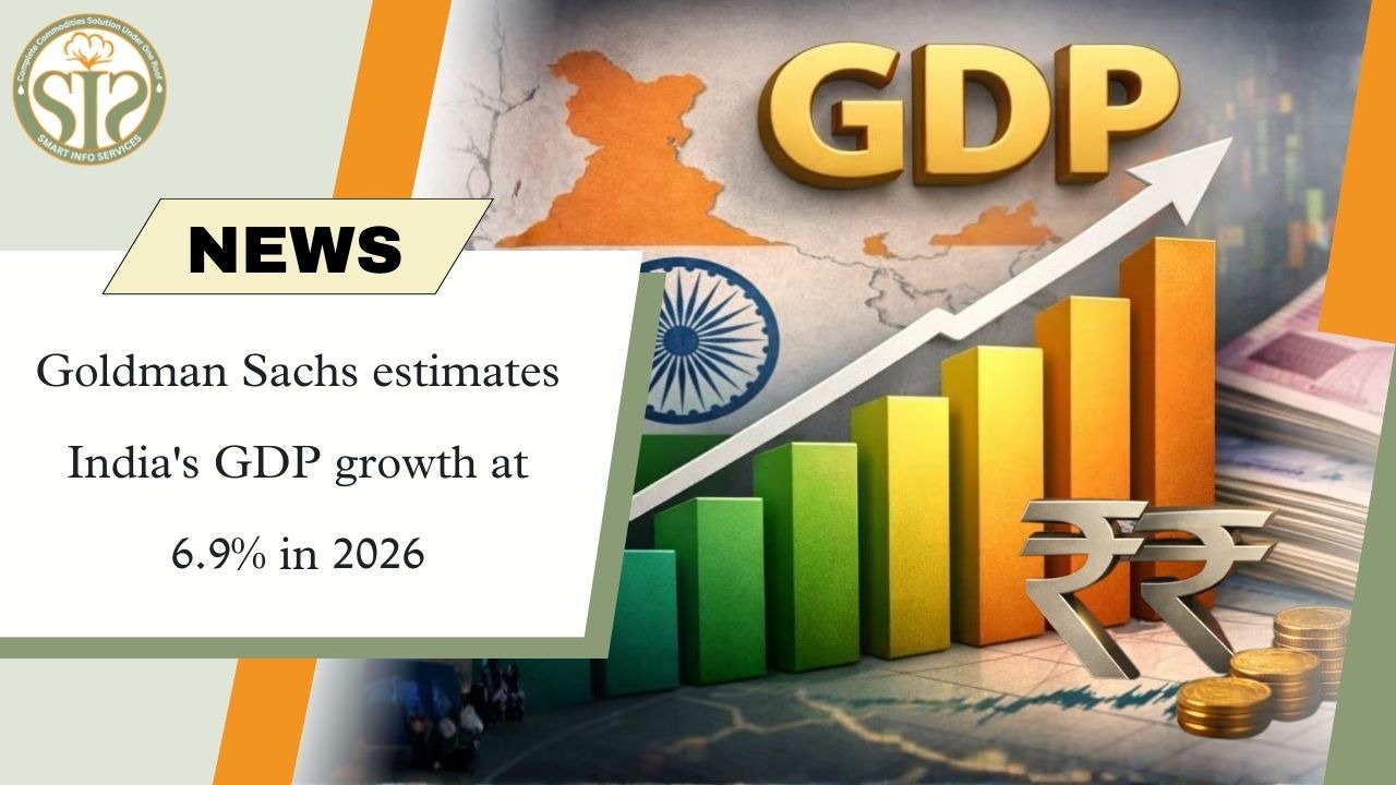 India's GDP growth expected to be 6.9% in 2026: Goldman Sachs