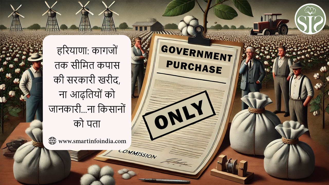 हरियाणा: कागजों तक सीमित कपास की सरकारी खरीद, ना आढ़तियों को जानकारी...ना किसानों को पता