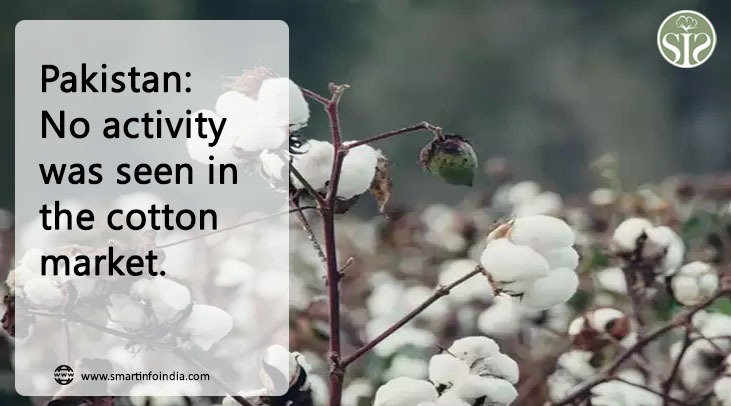Pakistan: There was no movement in the cotton market.