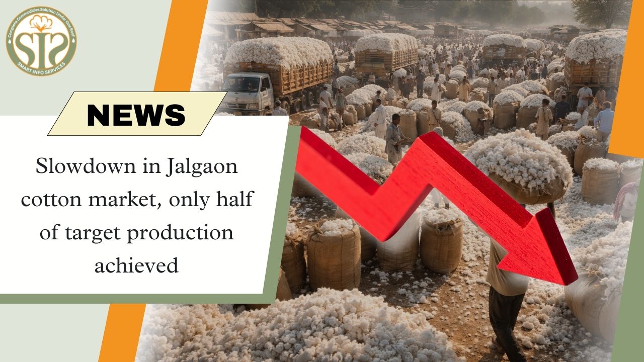 Cotton market sluggish in Jalgaon, production less than target