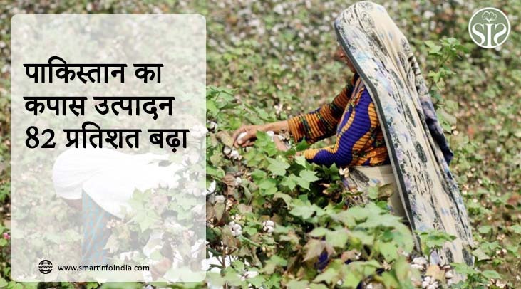 पाकिस्तान का कपास उत्पादन 82 प्रतिशत बढ़ा