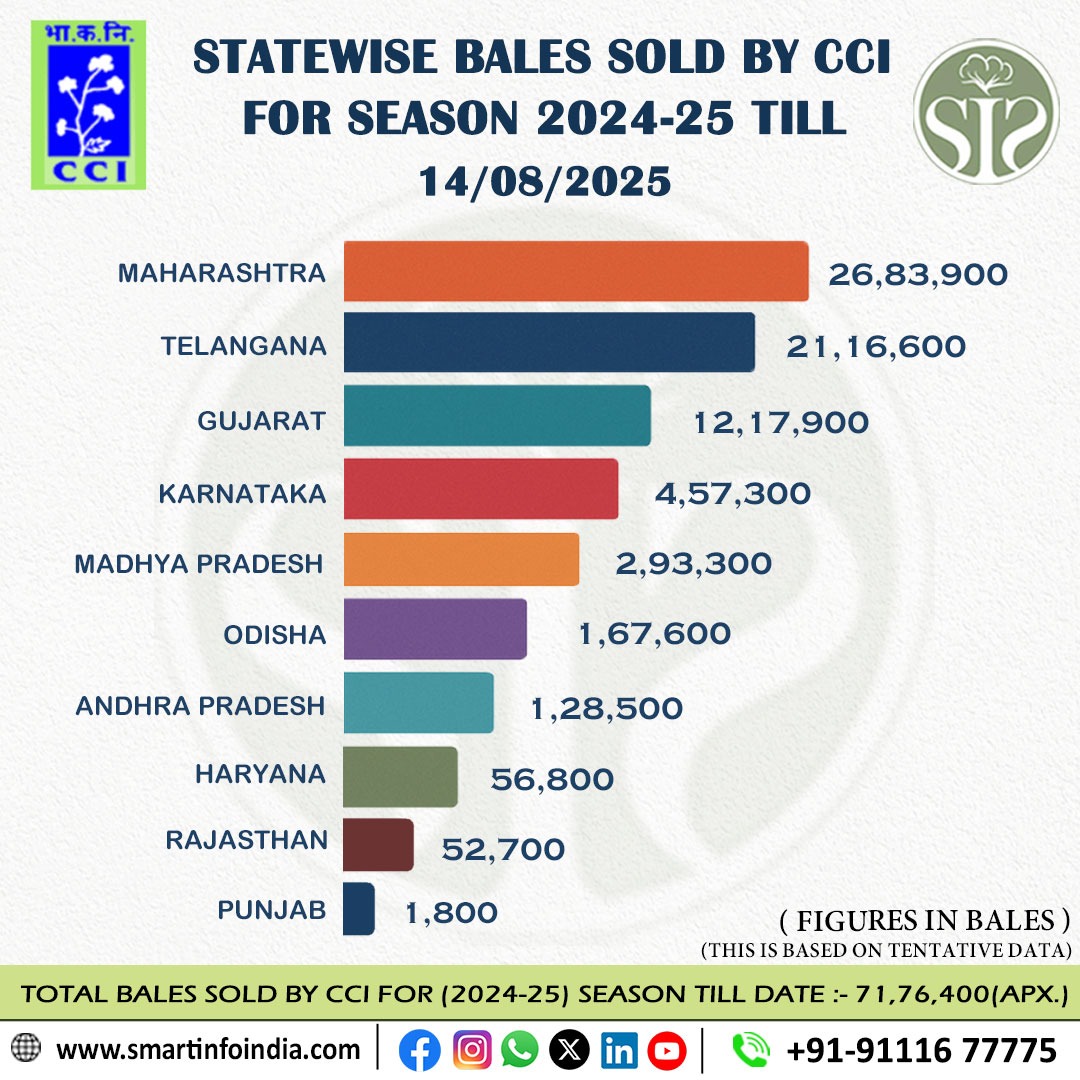 CCI कपास बिक्री विवरण (2024-25): राज्य अनुसार आंकड़े