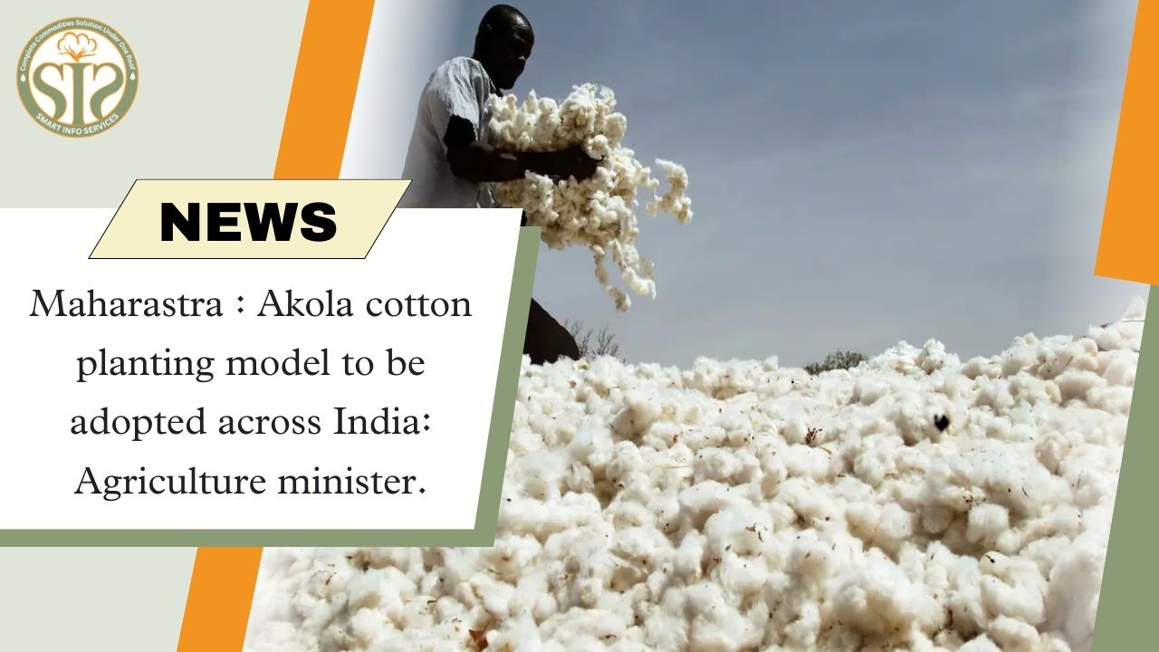Akola cotton model will be implemented across the country: Agriculture Minister