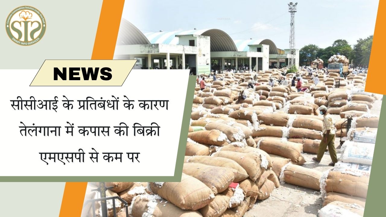 सीसीआई के प्रतिबंधों के कारण तेलंगाना में कपास की बिक्री एमएसपी से कम पर