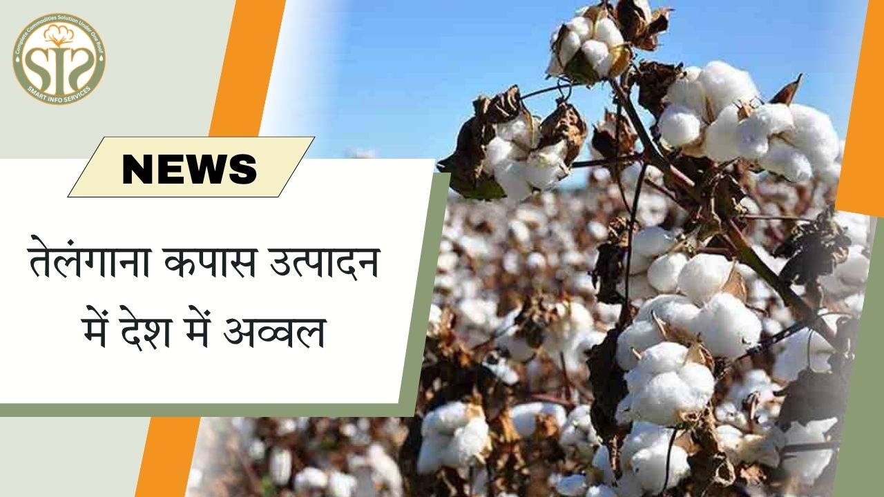 कपास उत्पादन में तेलंगाना शीर्ष पर