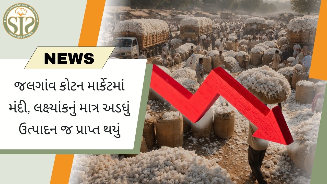 જલગાંવમાં કોટન માર્કેટ સુસ્ત, ઉત્પાદન લક્ષ્ય કરતાં ઓછું