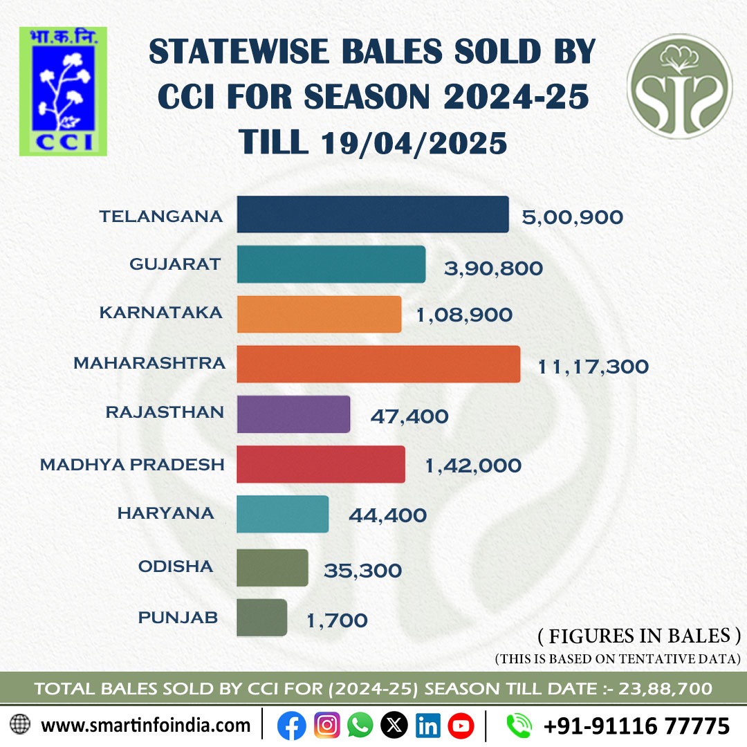 CCI Cotton Sales Update for Season 2024-25