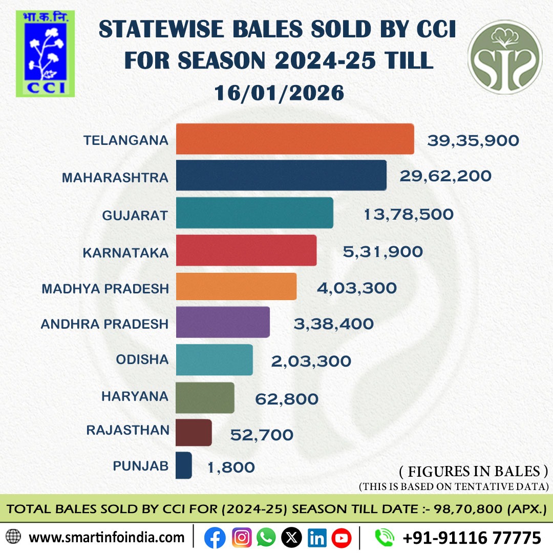 CCI Cotton Sales Report 2024-25