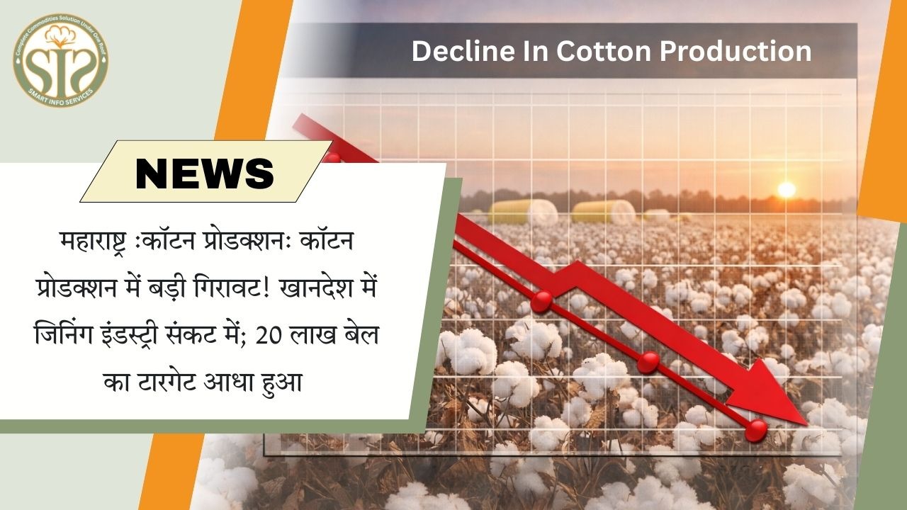 महाराष्ट्र में कपास उत्पादन में बड़ी गिरावट, खानदेश की जिनिंग इंडस्ट्री संकट में