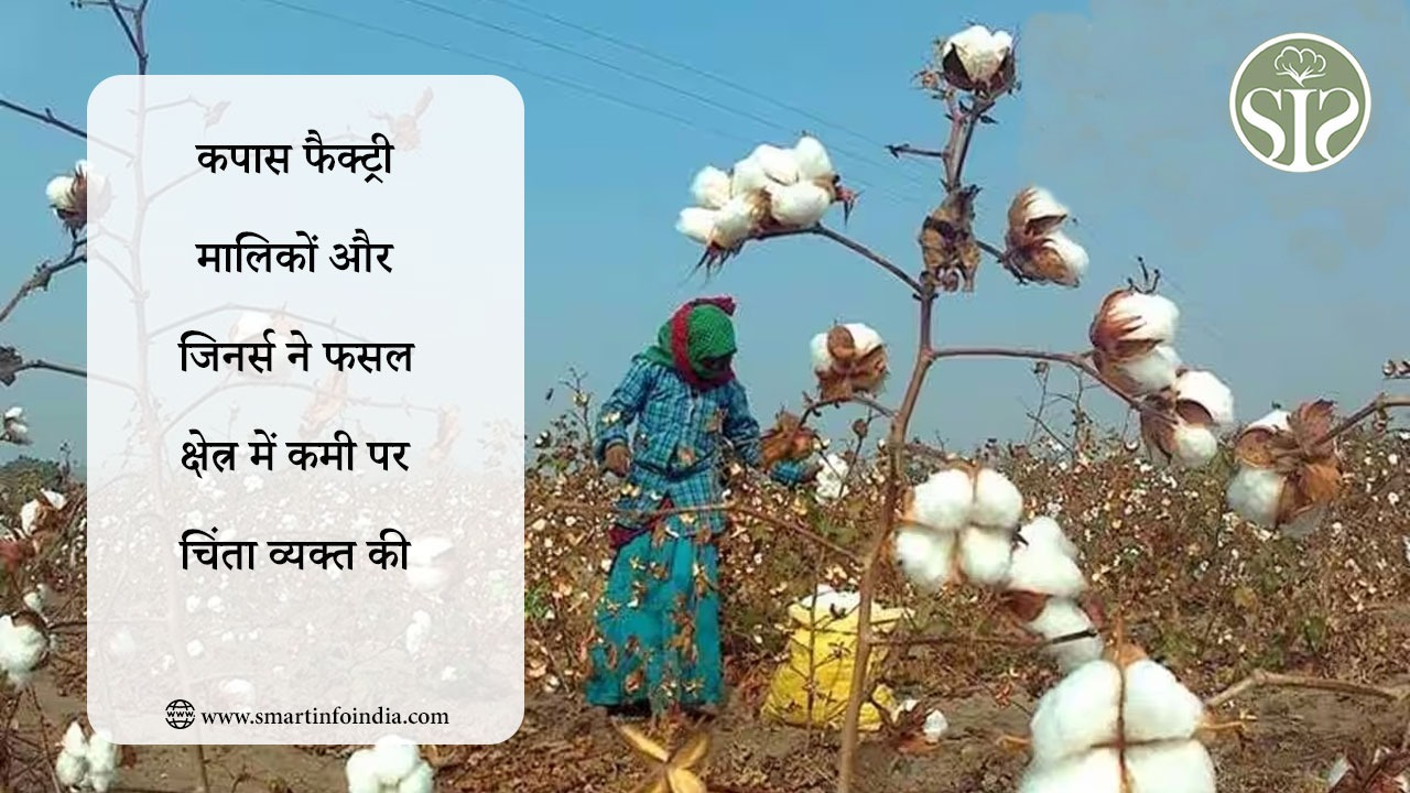 कपास फैक्ट्री मालिकों और जिनर्स ने फसल क्षेत्र में कमी पर चिंता व्यक्त की
