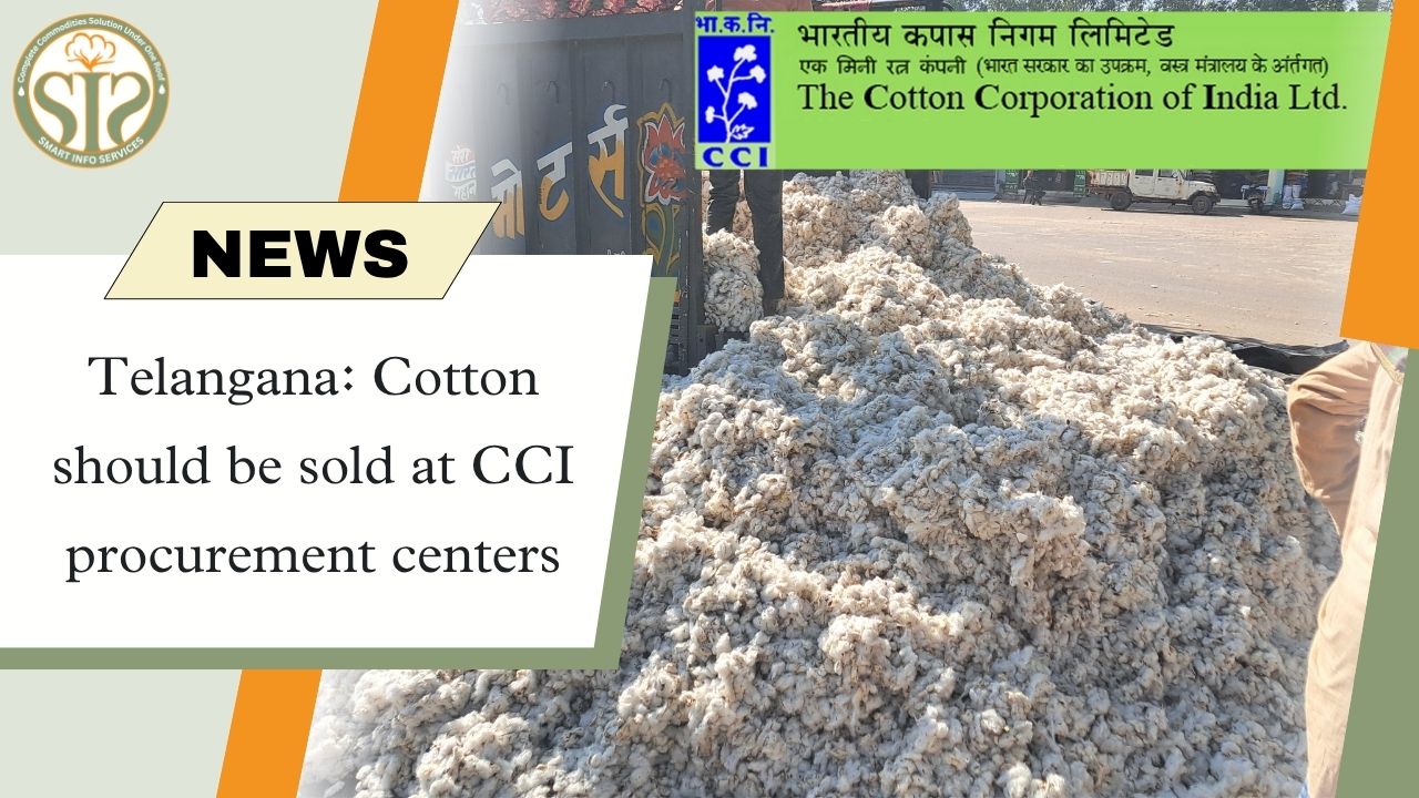 Telangana: Cotton sales begin at CCI centres