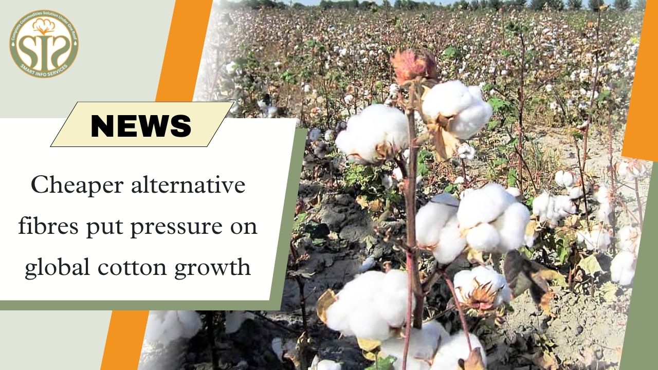 Cheap fibres put pressure on global cotton