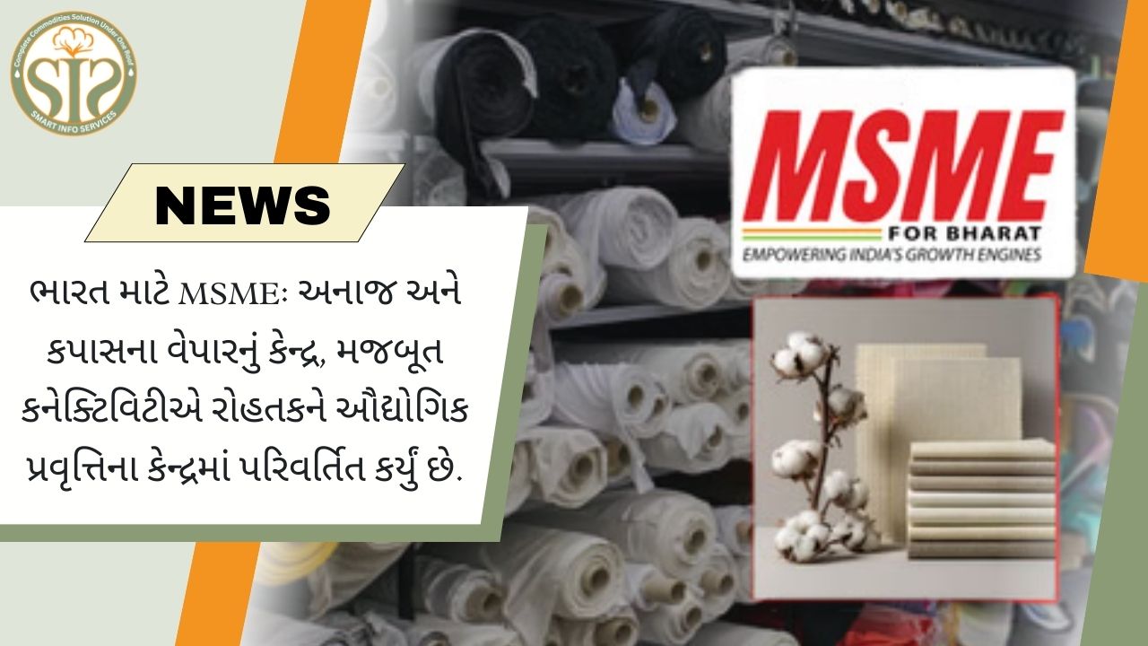 રોહતક: અનાજ-કપાસ વેપારનું કેન્દ્ર, MSMEનું નવું કેન્દ્ર