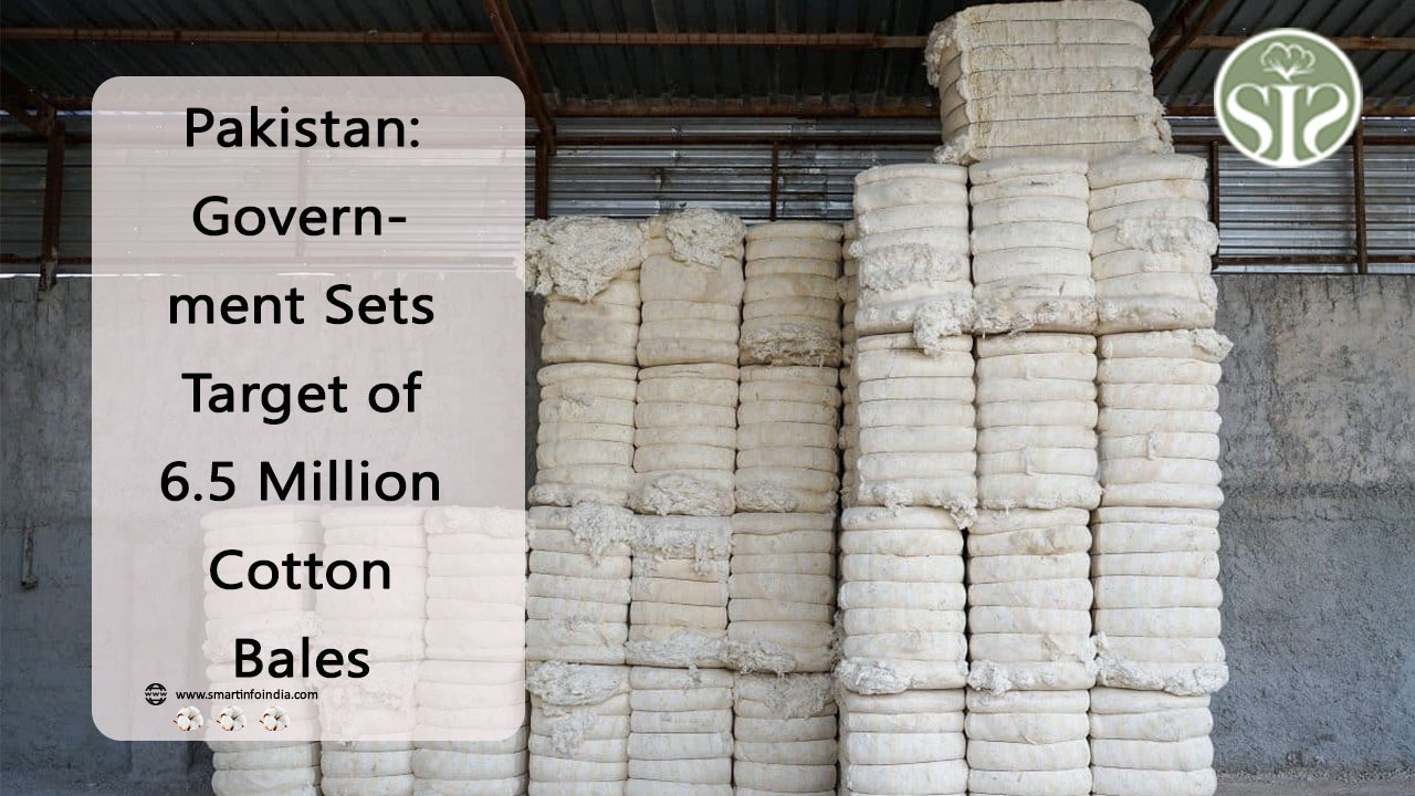 Pakistan: Government Sets Target of 6.5 Million Cotton Bales