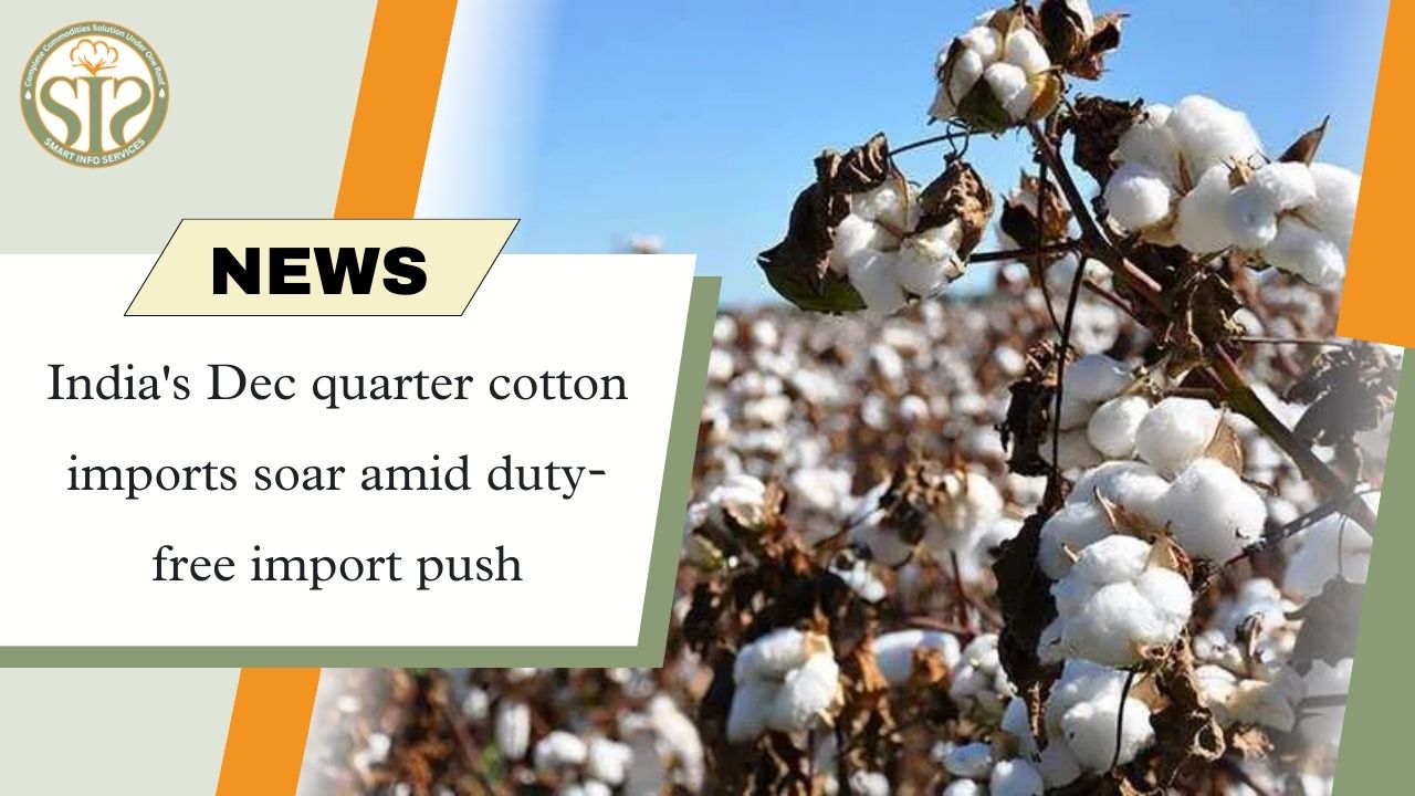 Cotton imports increase in December quarter due to duty-free incentives