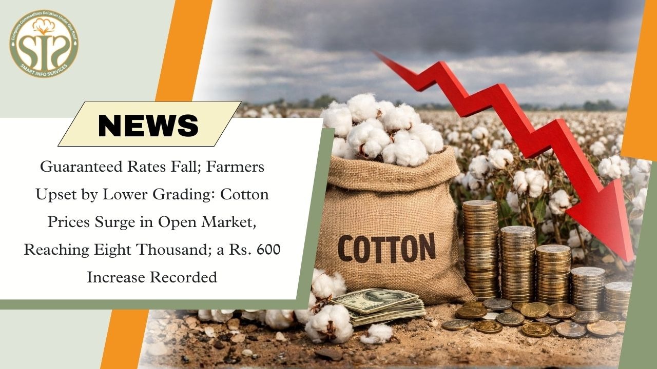 Farmers worried about fluctuations in cotton prices