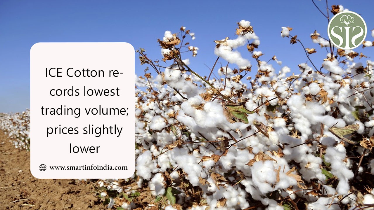 ICE Cotton records lowest trading volume; prices slightly lower