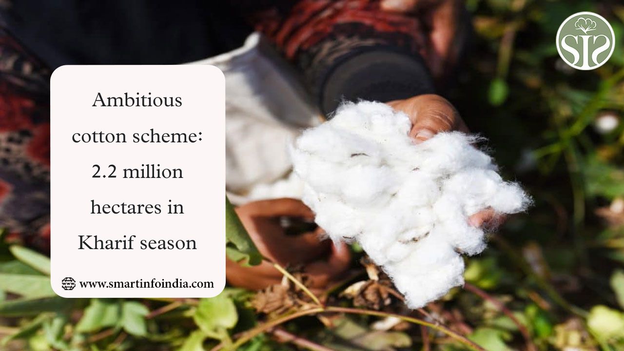 Ambitious cotton scheme: 2.2 million hectares in Kharif season