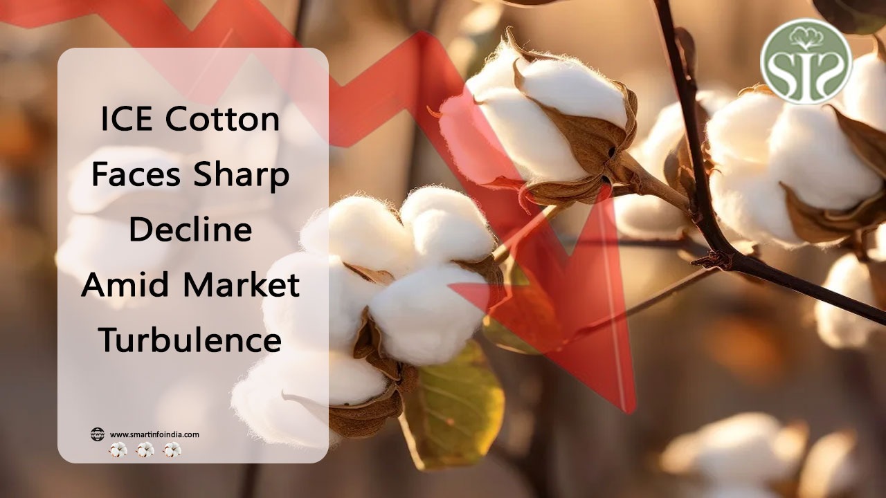 ICE Cotton Faces Sharp Decline Amid Market Turbulence