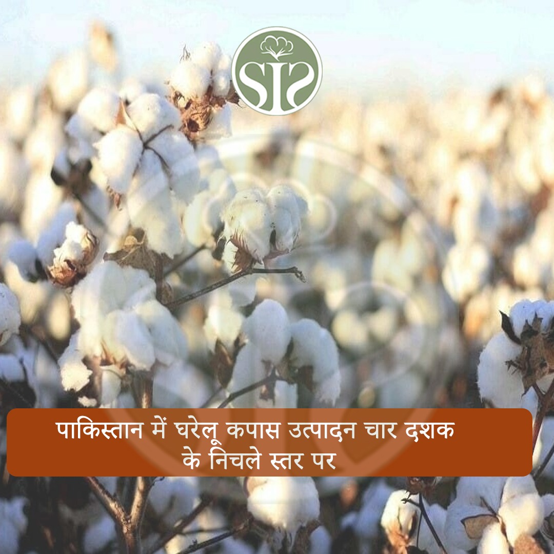 Domestic cotton production in Pakistan at four-decade low