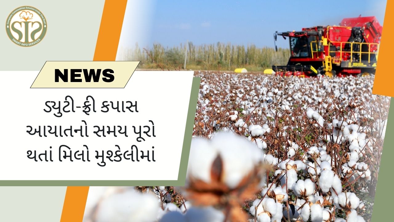 ડ્યુટી-ફ્રી કપાસ આયાતનો સમય પૂરો થતાં મિલો મુશ્કેલીમાં