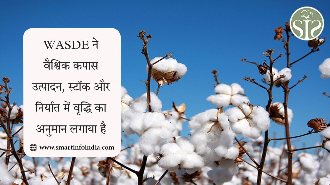 WASDE ने वैश्विक कपास उत्पादन, स्टॉक और निर्यात में वृद्धि का अनुमान लगाया है