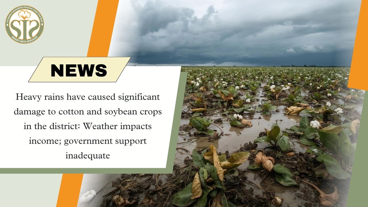 Heavy damage to crops due to weather