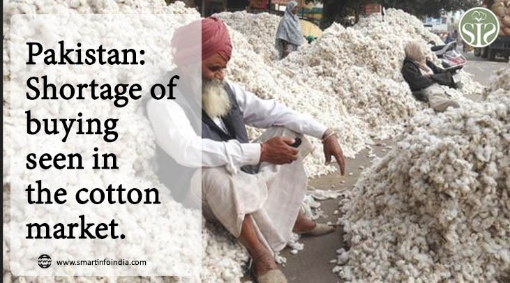 Pakistan: Lack of purchase is being seen in the cotton market