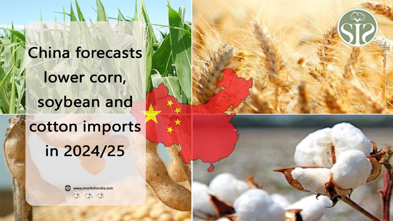 China forecasts lower corn, soybean and cotton imports in 2024/25