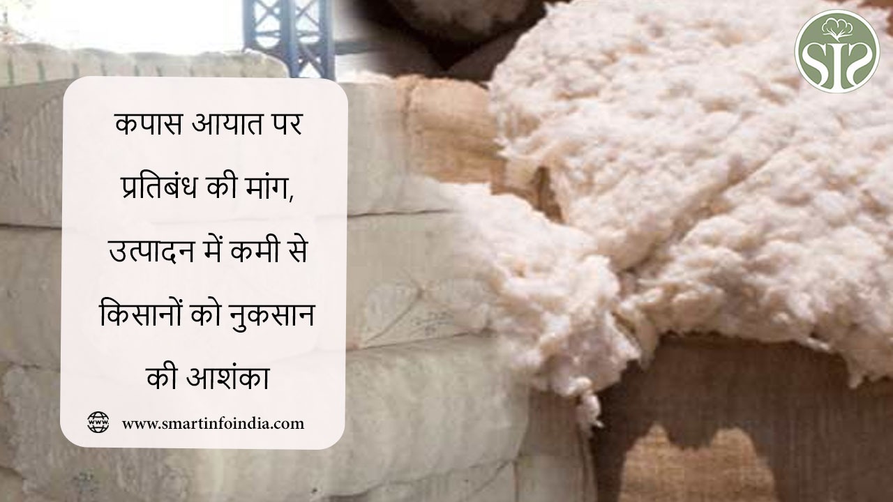 कपास आयात पर प्रतिबंध की मांग, उत्पादन में कमी से किसानों को नुकसान की आशंका