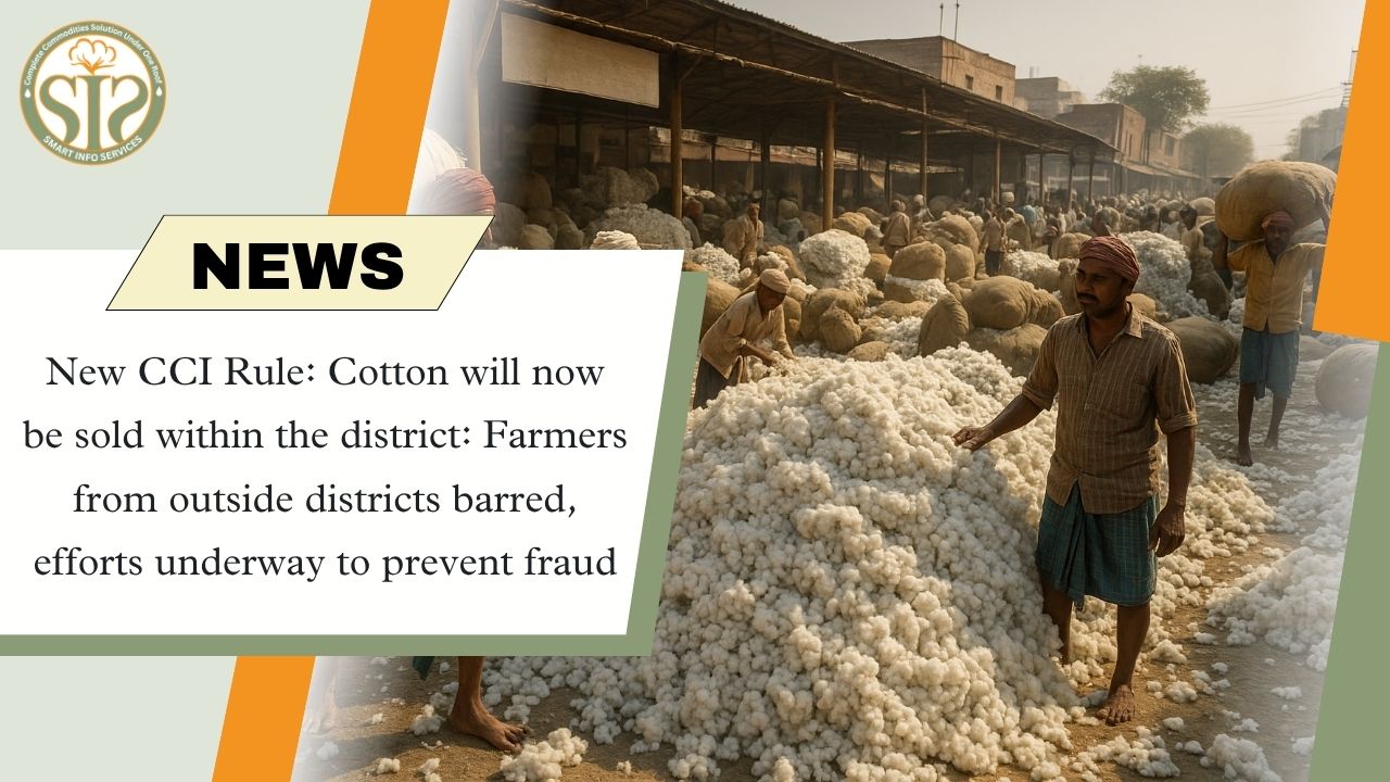 "CCI's new rule: Cotton will now be sold only within the district"